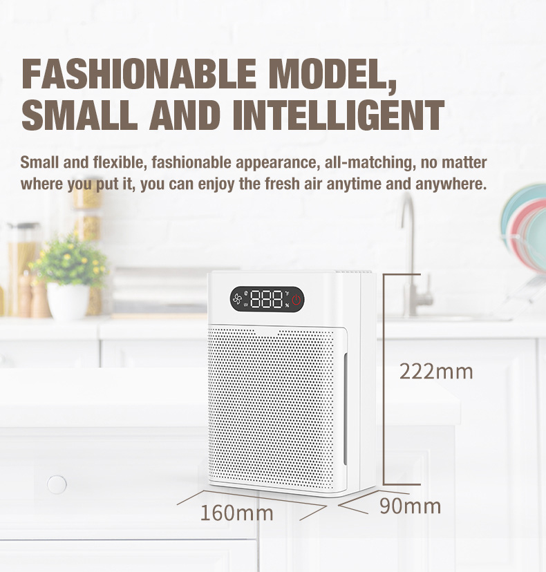 ผู้จัดจำหน่ายเครื่องฟอกอากาศ Olansi A1 (3)